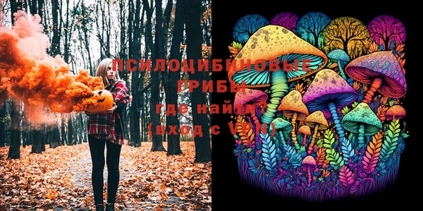 гашик Алзамай